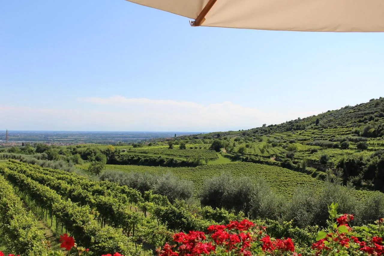 Farm stay Corte Spinosa Negrar Italy
