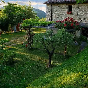 Marzanella , Tredozio Italia